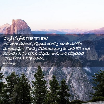 Picture 02 - హెబ్రీ పత్రిక 11:16 TELIRV - కానీ వారు మరింత - Bible Verse Picture