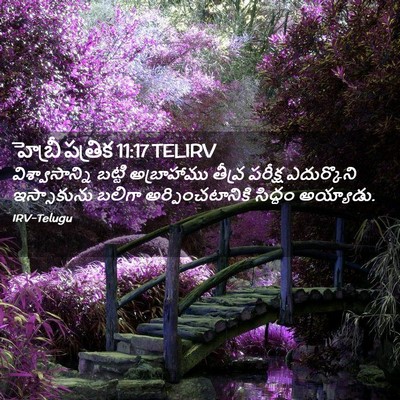 Picture 02 - హెబ్రీ పత్రిక 11:17 TELIRV - విశ్వాసాన్ని - Bible Verse Picture