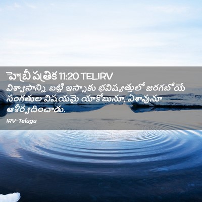 Picture 02 - హెబ్రీ పత్రిక 11:20 TELIRV - విశ్వాసాన్ని - Bible Verse Picture