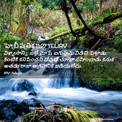Picture 02 - హెబ్రీ పత్రిక 11:27 TELIRV - విశ్వాసాన్ని - Bible Verse Picture