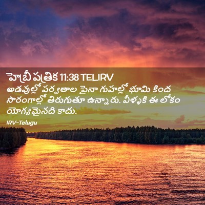 Picture 02 - హెబ్రీ పత్రిక 11:38 TELIRV - అడవుల్లో పర్వతాల - Bible Verse Picture