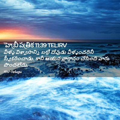 Picture 02 - హెబ్రీ పత్రిక 11:39 TELIRV - వీళ్ళ - Bible Verse Picture