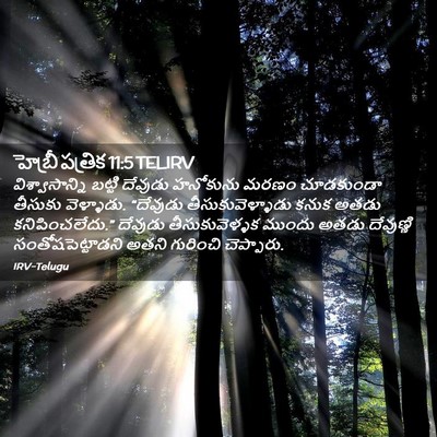 Picture 02 - హెబ్రీ పత్రిక 11:5 TELIRV - విశ్వాసాన్ని - Bible Verse Picture