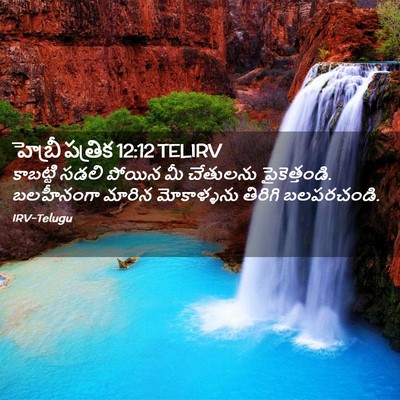 Picture 02 - హెబ్రీ పత్రిక 12:12 TELIRV - కాబట్టి సడలి - Bible Verse Picture