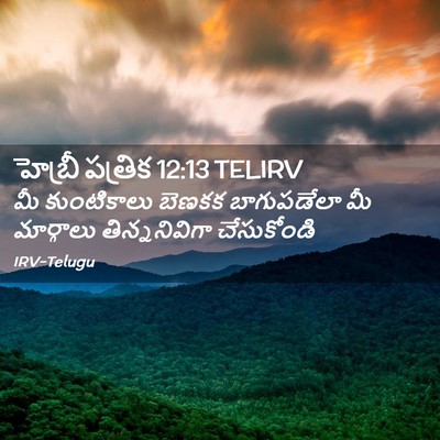 Picture 02 - హెబ్రీ పత్రిక 12:13 TELIRV - మీ కుంటికాలు - Bible Verse Picture