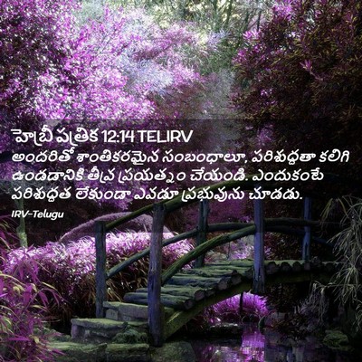 Picture 02 - హెబ్రీ పత్రిక 12:14 TELIRV - అందరితో - Bible Verse Picture