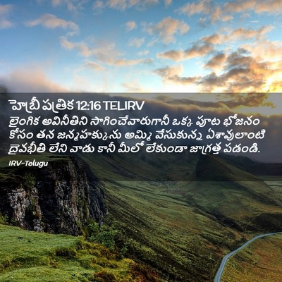 Picture 02 - హెబ్రీ పత్రిక 12:16 TELIRV - లైంగిక అవినీతిని - Bible Verse Picture