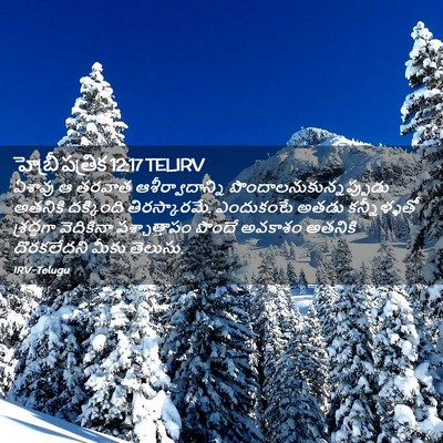 Picture 02 - హెబ్రీ పత్రిక 12:17 TELIRV - ఏశావు ఆ తరవాత - Bible Verse Picture