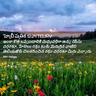 Picture 02 - హెబ్రీ పత్రిక 12:24 TELIRV - ఇంకా కొత్త - Bible Verse Picture