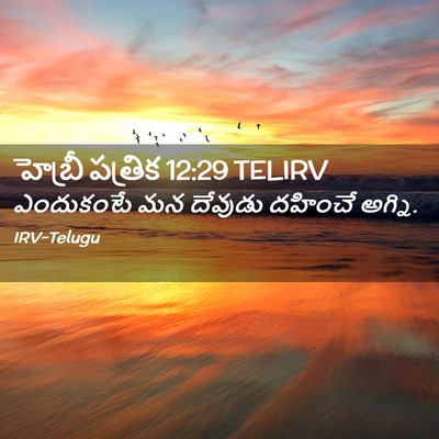 Picture 02 - హెబ్రీ పత్రిక 12:29 TELIRV - ఎందుకంటే మన - Bible Verse Picture