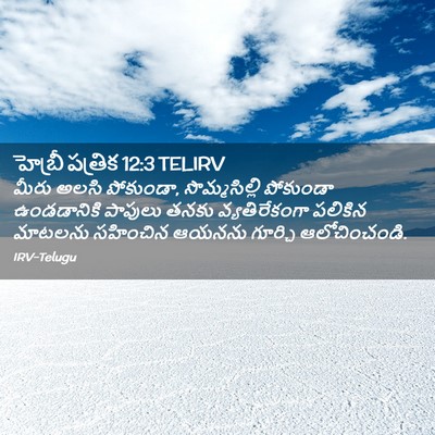 Picture 02 - హెబ్రీ పత్రిక 12:3 TELIRV - మీరు అలసి పోకుండా, - Bible Verse Picture