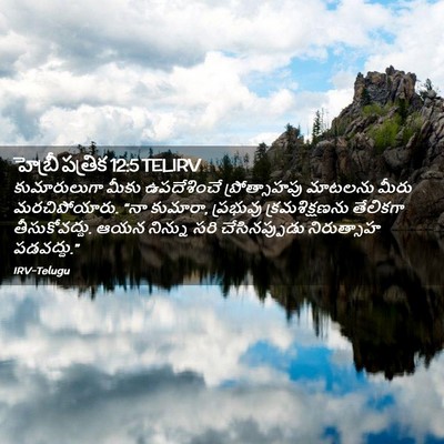 Picture 02 - హెబ్రీ పత్రిక 12:5 TELIRV - కుమారులుగా మీకు - Bible Verse Picture