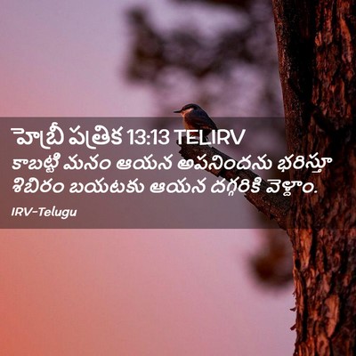 Picture 02 - హెబ్రీ పత్రిక 13:13 TELIRV - కాబట్టి మనం ఆయన - Bible Verse Picture