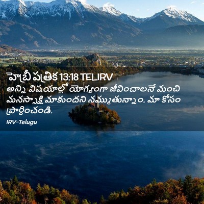 Picture 02 - హెబ్రీ పత్రిక 13:18 TELIRV - అన్ని విషయాల్లో - Bible Verse Picture