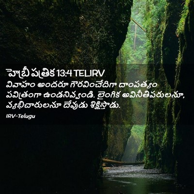 Picture 02 - హెబ్రీ పత్రిక 13:4 TELIRV - వివాహం అందరూ - Bible Verse Picture