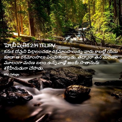 Picture 02 - హెబ్రీ పత్రిక 2:14 TELIRV - కనుక దేవుని - Bible Verse Picture