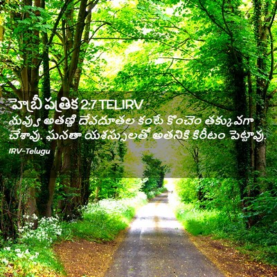 Picture 02 - హెబ్రీ పత్రిక 2:7 TELIRV - నువ్వు అతణ్ణి - Bible Verse Picture