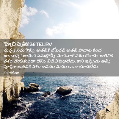 Picture 02 - హెబ్రీ పత్రిక 2:8 TELIRV - నువ్వు సమస్తాన్నీ - Bible Verse Picture