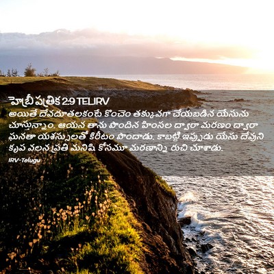 Picture 02 - హెబ్రీ పత్రిక 2:9 TELIRV - అయితే దేవదూతలకంటే - Bible Verse Picture