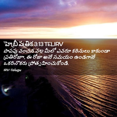 Picture 02 - హెబ్రీ పత్రిక 3:13 TELIRV - పాపపు వంచన వల్ల - Bible Verse Picture