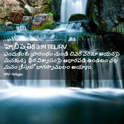 Picture 02 - హెబ్రీ పత్రిక 3:14 TELIRV - ఎందుకంటే ప్రారంభం - Bible Verse Picture