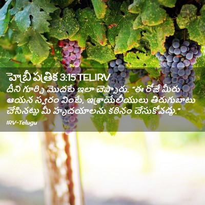 Picture 02 - హెబ్రీ పత్రిక 3:15 TELIRV - దీని గూర్చి మొదటే - Bible Verse Picture