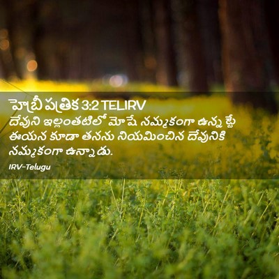 Picture 02 - హెబ్రీ పత్రిక 3:2 TELIRV - దేవుని ఇల్లంతటిలో - Bible Verse Picture