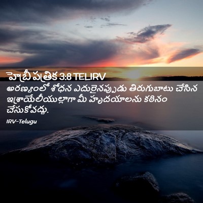 Picture 02 - హెబ్రీ పత్రిక 3:8 TELIRV - అరణ్యంలో శోధన - Bible Verse Picture