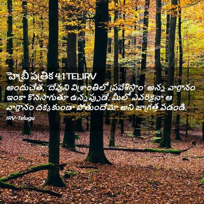Picture 02 - హెబ్రీ పత్రిక 4:1 TELIRV - అందుచేత, ‘దేవుని - Bible Verse Picture