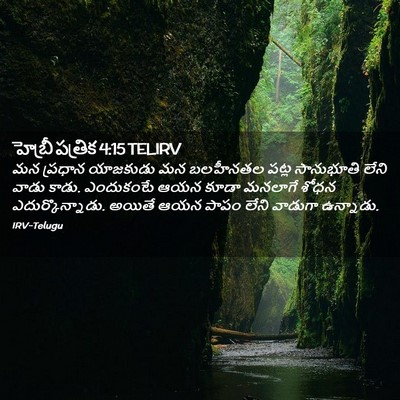 Picture 02 - హెబ్రీ పత్రిక 4:15 TELIRV - మన ప్రధాన యాజకుడు - Bible Verse Picture