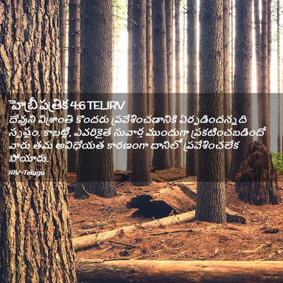 Picture 02 - హెబ్రీ పత్రిక 4:6 TELIRV - దేవుని విశ్రాంతి - Bible Verse Picture