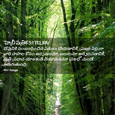 Picture 02 - హెబ్రీ పత్రిక 5:1 TELIRV - దేవునికి - Bible Verse Picture
