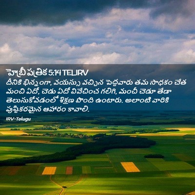 Picture 02 - హెబ్రీ పత్రిక 5:14 TELIRV - దీనికి భిన్నంగా, - Bible Verse Picture