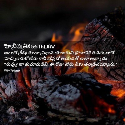 Picture 02 - హెబ్రీ పత్రిక 5:5 TELIRV - అలానే క్రీస్తు - Bible Verse Picture