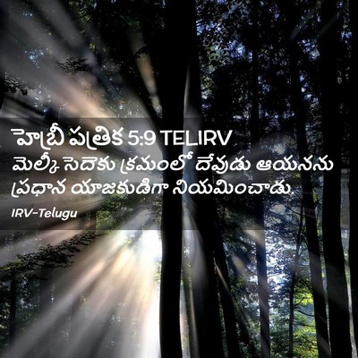 Picture 02 - హెబ్రీ పత్రిక 5:9 TELIRV - మెల్కీసెదెకు - Bible Verse Picture