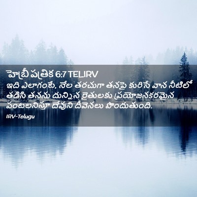 Picture 02 - హెబ్రీ పత్రిక 6:7 TELIRV - ఇది ఎలాగంటే, నేల - Bible Verse Picture