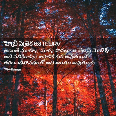 Picture 02 - హెబ్రీ పత్రిక 6:8 TELIRV - అయితే ముళ్ళూ, - Bible Verse Picture