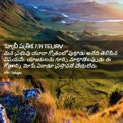 Picture 02 - హెబ్రీ పత్రిక 7:14 TELIRV - మన ప్రభువు యూదా - Bible Verse Picture