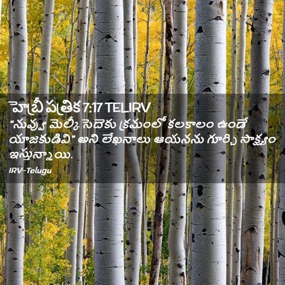Picture 02 - హెబ్రీ పత్రిక 7:17 TELIRV - “నువ్వు - Bible Verse Picture