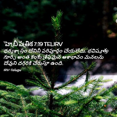Picture 02 - హెబ్రీ పత్రిక 7:19 TELIRV - ధర్మశాస్త్రం - Bible Verse Picture