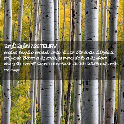 Picture 02 - హెబ్రీ పత్రిక 7:26 TELIRV - ఆయన కల్మషం అంటని - Bible Verse Picture