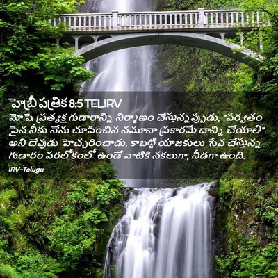 Picture 02 - హెబ్రీ పత్రిక 8:5 TELIRV - మోషే ప్రత్యక్ష - Bible Verse Picture