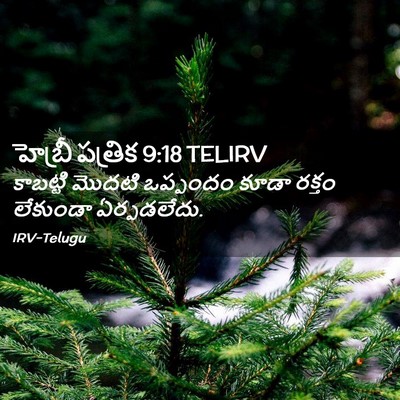 Picture 02 - హెబ్రీ పత్రిక 9:18 TELIRV - కాబట్టి మొదటి - Bible Verse Picture