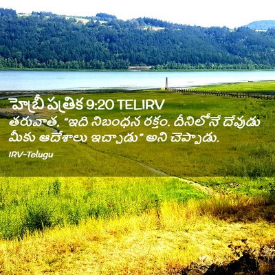 Picture 02 - హెబ్రీ పత్రిక 9:20 TELIRV - తరువాత, “ఇది - Bible Verse Picture