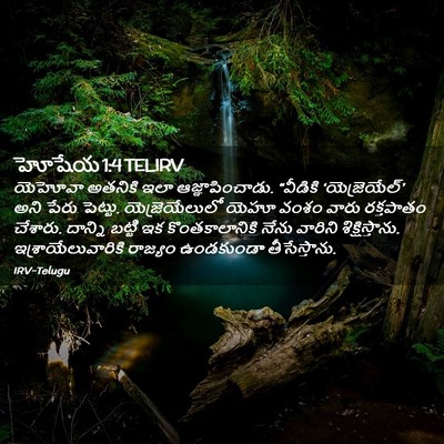 Picture 02 - హోషేయ 1:4 TELIRV - యెహోవా అతనికి ఇలా - Bible Verse Picture