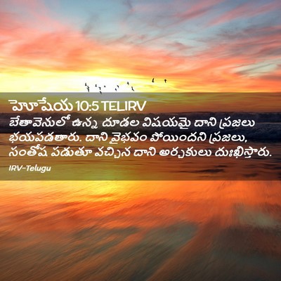 Picture 02 - హోషేయ 10:5 TELIRV - బేతావెనులో ఉన్న - Bible Verse Picture
