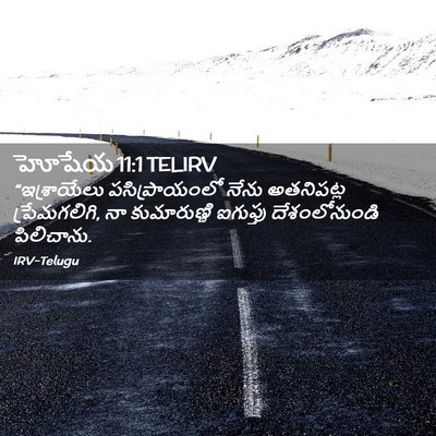 Picture 02 - హోషేయ 11:1 TELIRV - “ఇశ్రాయేలు - Bible Verse Picture