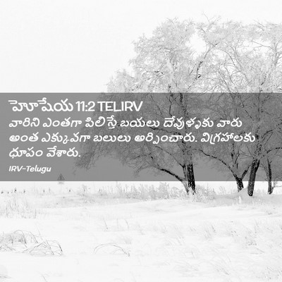 Picture 02 - హోషేయ 11:2 TELIRV - వారిని ఎంతగా - Bible Verse Picture
