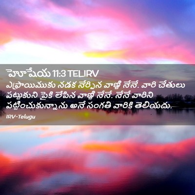 Picture 02 - హోషేయ 11:3 TELIRV - ఎఫ్రాయిముకు నడక - Bible Verse Picture