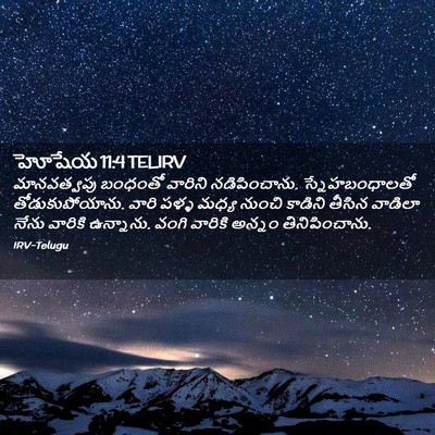 Picture 02 - హోషేయ 11:4 TELIRV - మానవత్వపు బంధంతో - Bible Verse Picture